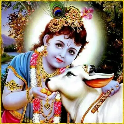 Krishna Bhagwan Ka Photo Krishna Bhagwan Ka Photo