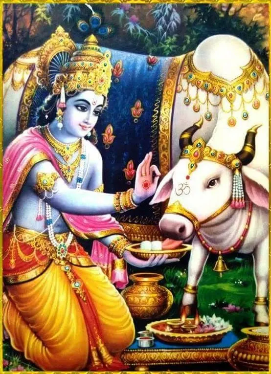 Krishna Bhagwan Photo Picture Krishna Bhagwan Photo Picture